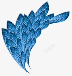 蓝色孔雀羽毛高清图片