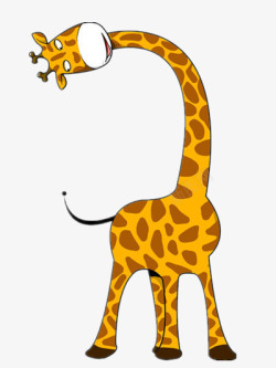 高个子歪脖的长颈鹿高清图片