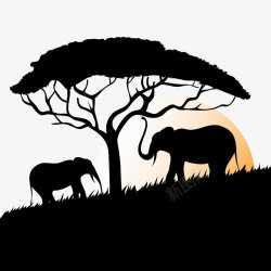 黑山大象草原高清图片