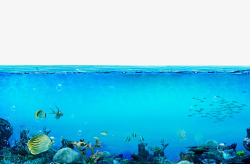 蓝色黑色鱼海底世界高清图片