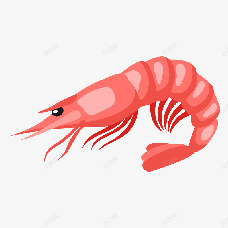 红色的虾矢量图ai免抠素材_新图网 https://ixintu.com 海鲜 红色 红色海鲜 红色的虾 虾 食物 黑色 矢量图