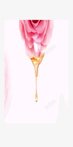 粉红色美容粉红色玫瑰精油美容高清图片