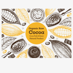 可可豆黄色叶子食物插画矢量图高清图片