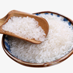东北珍珠大米五常稻花香米高清图片