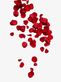 飘零玫瑰瓣装饰情人节梦幻玫瑰瓣飘零场景高清图片