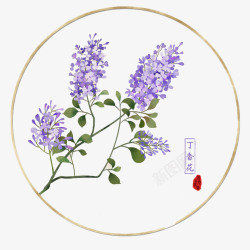 手绘装饰室内插图手绘圆形唯美中国风丁香花插图免高清图片