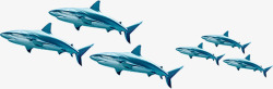 蓝色海鱼一群鱼高清图片