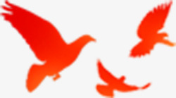 红色的鸟剪影红色和平鸽高清图片