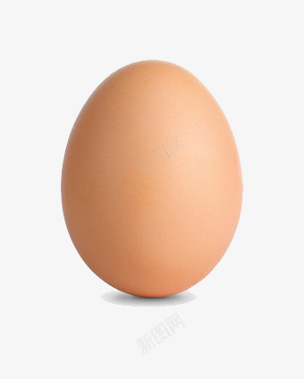一个鸡蛋png免抠素材_新图网 https://ixintu.com 一个 鸡蛋 椭圆 站立 美食 营养食物