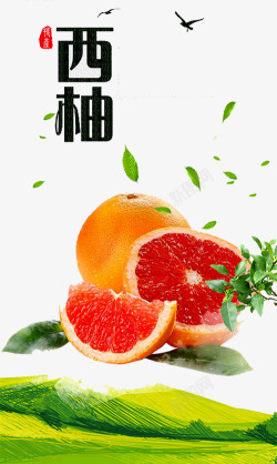 柚子树叶西柚海报高清图片