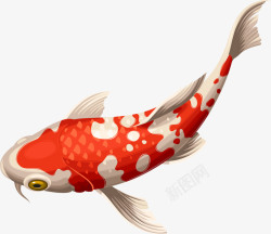 海鲜银鲳鱼红色卡通锦鲤高清图片