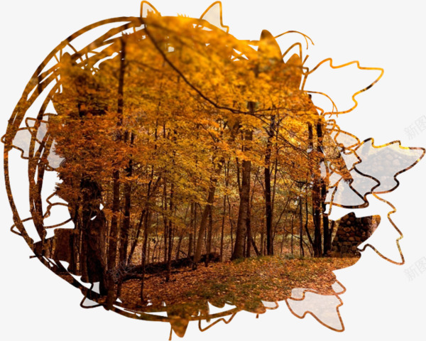 秋天树背景png免抠素材_新图网 https://ixintu.com 枫叶 秋叶 秋天 秋天的树 背景素材