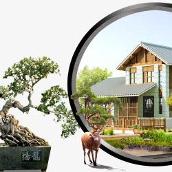 松树盆栽中国风庭院江南别院中式别墅高清图片