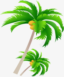 夏日活动植物沙滩椰子树素材