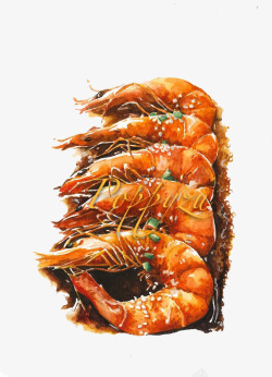 油焖大虾素材