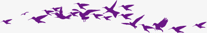 紫色飞鸟剪影png免抠素材_新图网 https://ixintu.com 紫色 飞鸟 剪影 艺术 合成 鸟群 