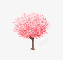 开粉色花的植物樱花树高清图片