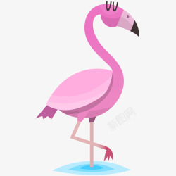 哺乳纲粉色火烈鸟插画矢量图高清图片