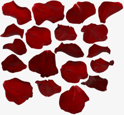 花瓣集合花瓣红色玫瑰花花瓣大集合漂浮高清图片
