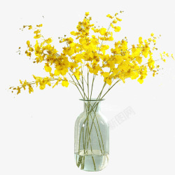 时尚花瓶无框画黄色跳舞兰仿真花假花装饰花高清图片
