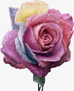 好看的花簪子玫瑰花鲜花纸花好看的花高清图片