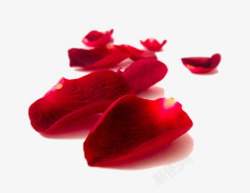 桑葚高清实物装饰红色的花瓣高清图片