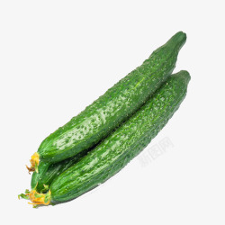 新鲜绿色蔬菜新鲜的黄瓜高清图片