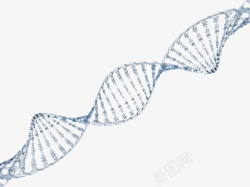 遗传物质灰色dna遗传物质基因肽链脱氧高清图片