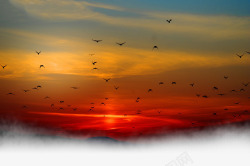 澶槾楦夕阳下的飞鸟高清图片