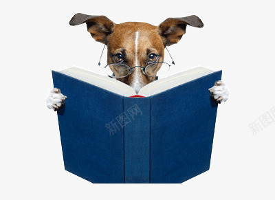 会看书的狗png免抠素材_新图网 https://ixintu.com 书本 知识 阅读