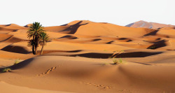 沙漠风景美丽的沙漠景色高清图片