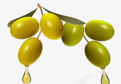 油橄榄素材过年油橄榄礼物高清图片