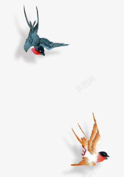 红色的小鸟红色青色小鸟高清图片