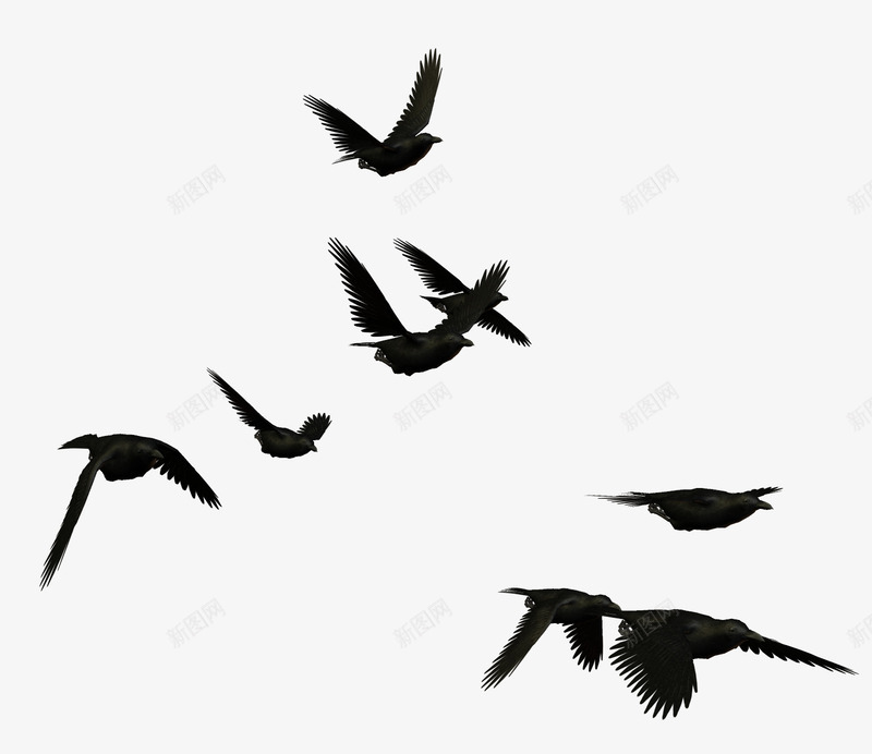 群鸦png免抠素材_新图网 https://ixintu.com 乌鸦 乌鸦图案 乌鸦飞过 免扣 动物 群鸦 飞行 鸟