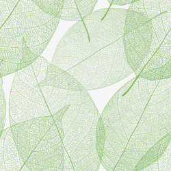 脉络镂空树叶图案矢量图高清图片