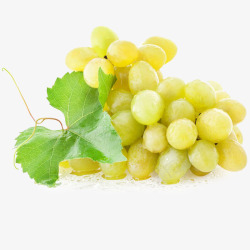 白葡萄素材白葡萄水果高清图片