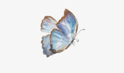 飞舞彩蝶蓝色的手绘蝴蝶高清图片