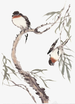 枝头上的猫头鹰中国风水墨画高清图片