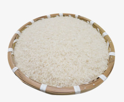 一盆珍珠米素材