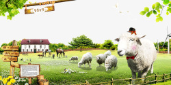 房子篱笆草地风光矢量圈养起来的绵羊高清图片