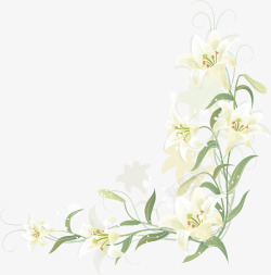 百合花朵手绘百合边框矢量图高清图片