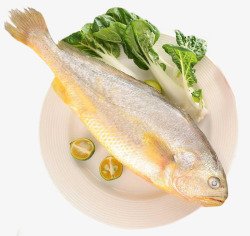 进口海鲜水产大黄鱼高清图片