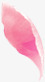 粉红色香水香水花瓣粉红色玫瑰花瓣高清图片
