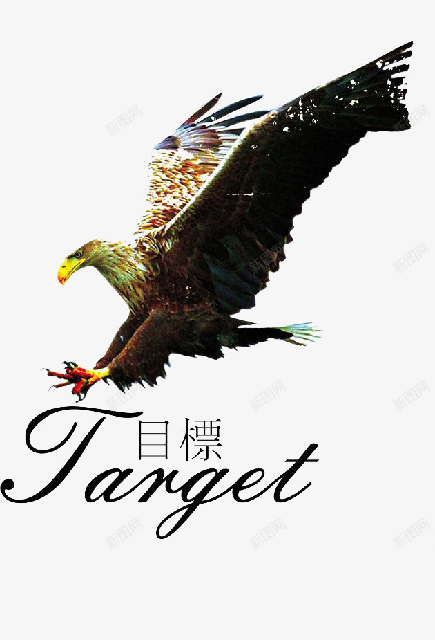企业品牌广告捕食的鹰png免抠素材_新图网 https://ixintu.com 企业文化 大展鸿图 捕食的鹰 目标 老鹰 雄鹰 鹰