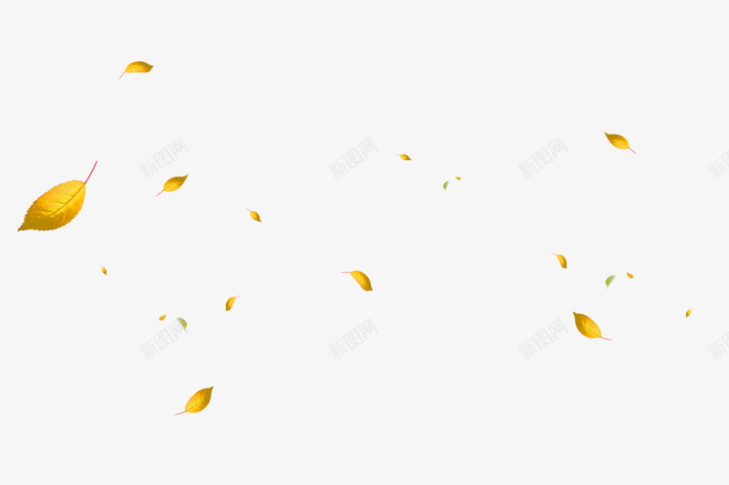 黄色落叶叶子漂浮png免抠素材_新图网 https://ixintu.com 免抠PNG 叶子 树叶飘 漂浮素材 落叶 黄色