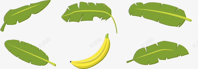 亚马逊香蕉叶png免抠素材_新图网 https://ixintu.com 亚马逊 亚马逊森林 亚马逊雨林 森林 雨林 香蕉叶