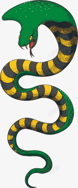 彩色的蛇手绘蛇矢量图高清图片