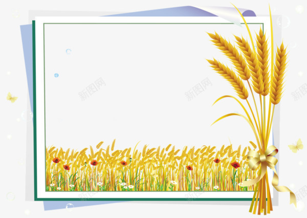 成熟庄稼相框png免抠素材_新图网 https://ixintu.com 小麦 小麦相框 稻田相框 麦田相框 黄色