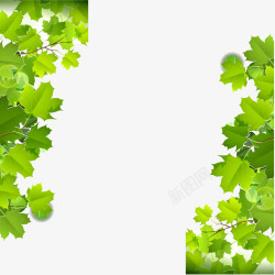 手绘适量对称的修饰绿色扁平化唯美枫树叶高清图片