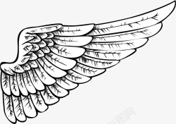 使之半边手绘细致的天天使之翼矢量图图标高清图片